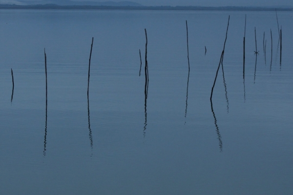 Lago Trasimeno