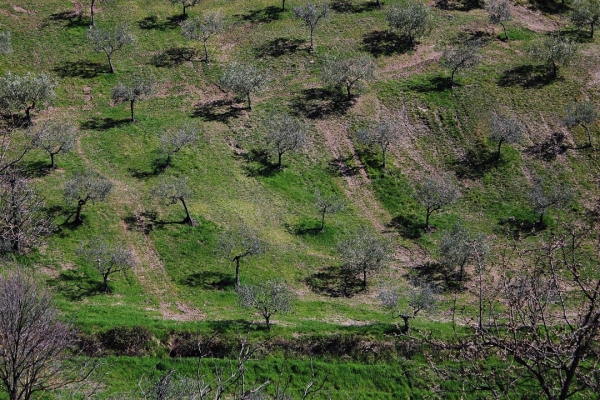 Umbrian nature and landscapes